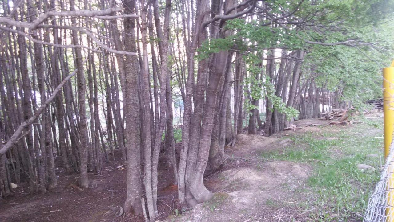 Camping La Encantada Ushuaia Eksteriør bilde